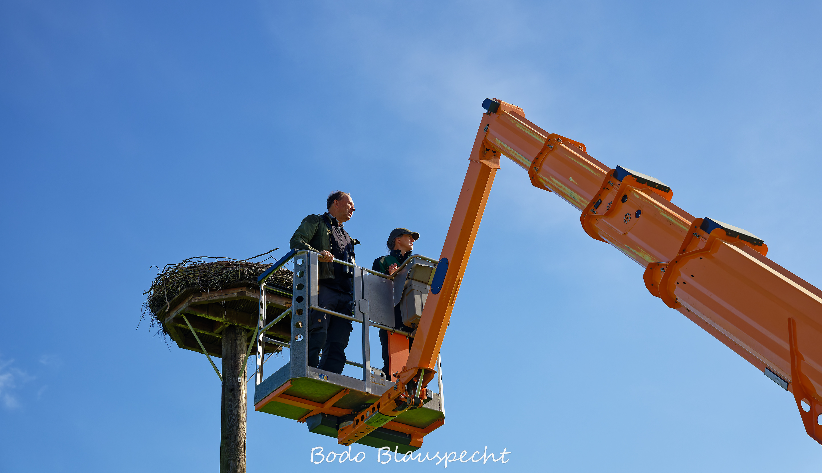 Jungstörche beringen Schulte im Busch 2026.06.10 08.43 25 WEB